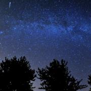 The Leonids – one of the more prolific annual meteor showers – are usually fast, bright meteors
