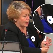 Michelle Thomson wore a Yes badge in the shape of a poppy at the Finance and Public Administration Committee
