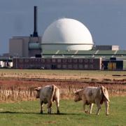 High numbers of 'harmful' radioactive particles have been found on the Dounreay shoreline and Sandside beach
