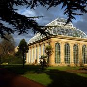 The book by Sara Sheridan centres around Edinburgh's botanic gardens