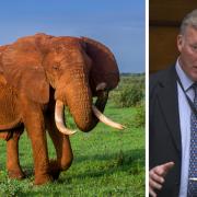 Tory MP Sir Bill Wiggin, right, said a ban on hunting trophy imports would be 'racist'