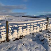 Snow covers a fence in Burravoe, near Brae in the North Mainland of Shetland