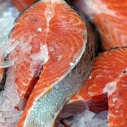 Scottish salmon was the UK's biggest food export in 2022