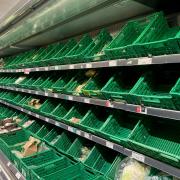 Empty shelves have become more of a common sight in British supermarkets since Brexit