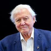 The Wild Isles series is narrated by David Attenborough, who has worked for the BBC since the 1950s