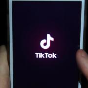 Popular social media app TikTok has been banned outright by a host of countries worldwide, including India