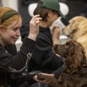 University of Edinburgh of dogs during wellbeing programme