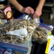 MPs will debate a call for a review of laws around psilocybin, which is found in 'magic mushrooms'