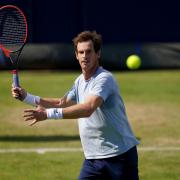 Andy Murray has hinted this year's ATP Tour could be his last