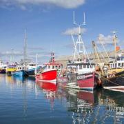 The proposal for Orkney to look at self-determination has been debated by councillors