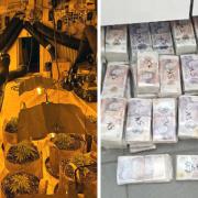 200,000 cannabis plants and £650,000 in cash was seized