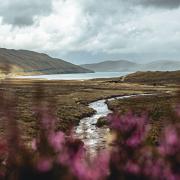 A proposed bill would look to limit how much land any single person could own in Scotland. Image: Dan Smedley on Unsplash