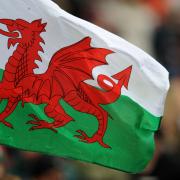 An expert panel has recommended a shadow broadcasting authority is set up in Wales