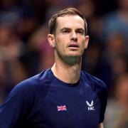 Tennis ace Andy Murray pictured at the Davis Cup earlier in September