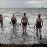Concerns have been raised over the impact of sewage spills on wildlife and swimmers