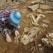 The skeletons of 14 men, women and chlidren were discovered