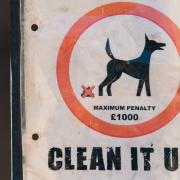 A Tory councillor is pushing for dog poos left uncollected to be DNA tested