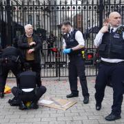 Married couple arrested after Downing Street ‘bloody handprints’ protest