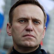 Alexei Navalny (AP Photo/Pavel Golovkin, File)
