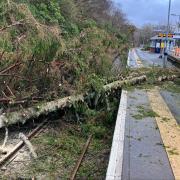 A fallen tree on the line at Arrochar and Tarbet after Storm Isha hit Scotland