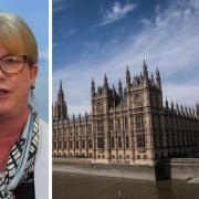 Shona Robison has said there is a 'debate to be had' about SNP MPs role in Westminster