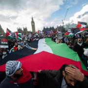 Pro-Palestine protesters make their voices heard in London