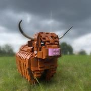 Tom Prest's Highland cow design is just 600 votes away from consideration as a real Lego set