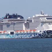 A person fell from a cruise ship travelling from Southampton to Hamburg