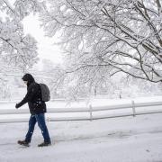 A pedestrian walks beneath snow-laden trees