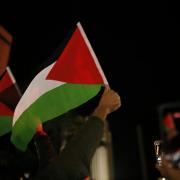 A pro-Palestine protester waves a flag in support of the war-torn nation