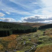 The site in the Scottish Borders is set to host 14 wind turbines