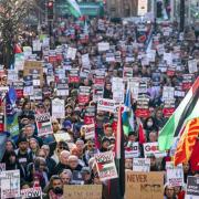 Thousands have taken to the streets in the past few months in pro-Palestine protests