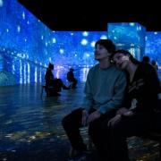 Two people enjoying Beyond Van Gogh: The Immersive Experience