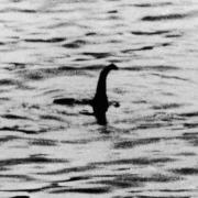 The Quest will mark the 90th anniversary of the first organised water watch for Nessie, known as Watchers of the Monster, as volunteers encourage people to come and join the search