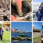 Lots to shout about in May