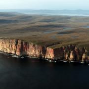 RSPB welcomes new Orkney protection sites for vulnerable seabirds