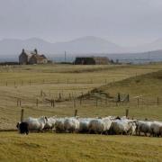 Breakdown of trust in team that runs Crofting Commission, watchdog says