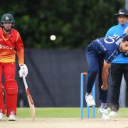 Cricket Scotland has held talks in recent weeks with sportscotland, which will now appoint a team of independent experts