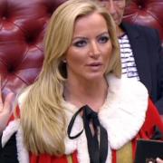 Tory peer Michelle Mone has denied any wrongdoing