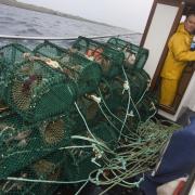 North sea quotas for UK fisherman have risen