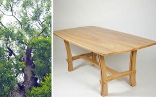 The Scottish Furniture Makers Association wants to create a number of items from the wood of an ash tree