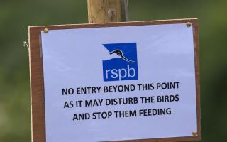 'It is a sign of how extreme this Tory government is that it has effectively radicalised ornithology'