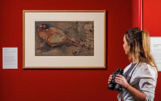 National Galleries Scotland unveiled Joseph Crawhall's Cock Pheasant with Foliage and Berries