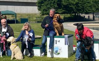 David Torrance's pup Buster won Holyrood Dog of the Year