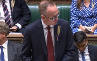 Scottish Tory MP John Lamont was spotted with the wheat lapel during Scotland questions ahead of PMQs