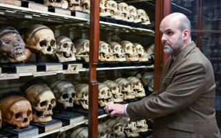 Tom Gillingwater in the University of Edinburgh Skull Room as the skulls of four Taiwanese tribal warriors killed nearly 150 years ago are repatriated