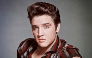 An immersive Elvis Presley concert is to open later this year
