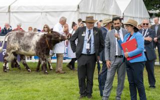 First Minister Humza Yousaf meets competitors and judges in the cattle ring at the Royal Highland Show
