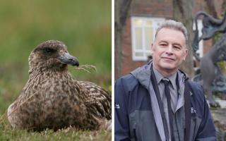 Chris Packham said birds need support now more than ever