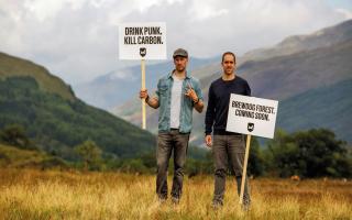Does BrewDog's dying forest really represent value for money?